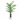 hawaii palm tree – without pots
